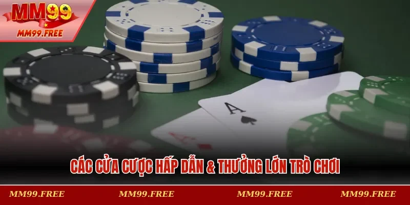 Các cửa cược hấp dẫn & thưởng lớn trò chơi