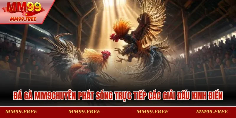 Đá gà MM99 chuyên phát sóng trực tiếp các giải đấu kinh điển