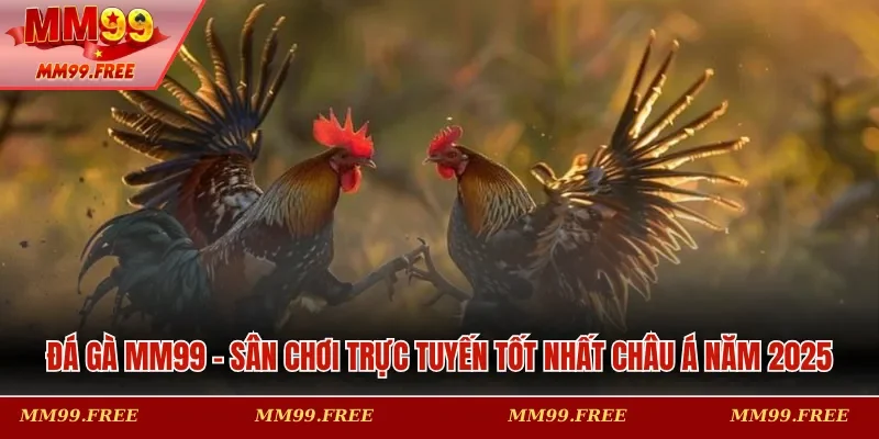 Đá gà MM99
