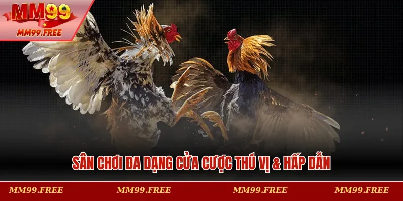 Sân chơi đa dạng cửa cược thú vị & hấp dẫn