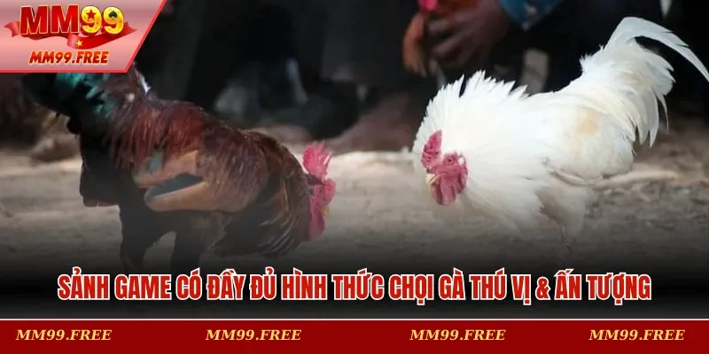 Sảnh game có đầy đủ hình thức chọi gà thú vị & ấn tượng