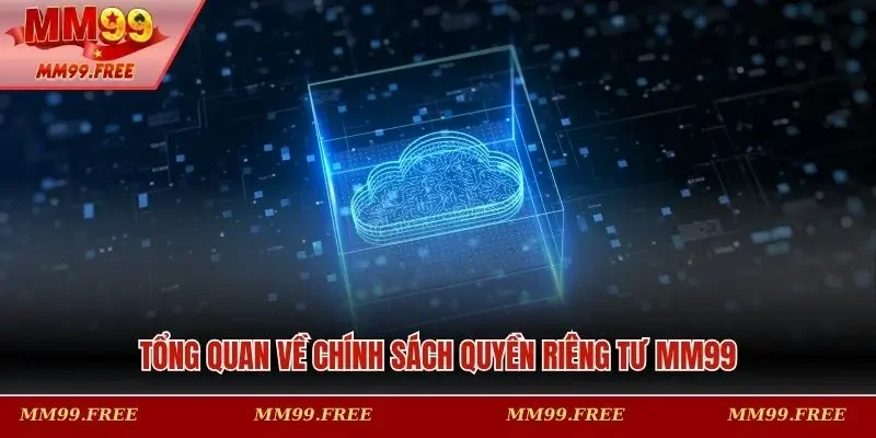 Tổng quan chung về chính sách quyền riêng tư MM99